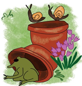 Frogs, plant pots and snails
