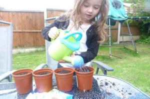 Paige watering sunflowers
