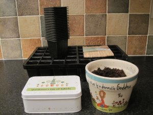 Pots and plant labels