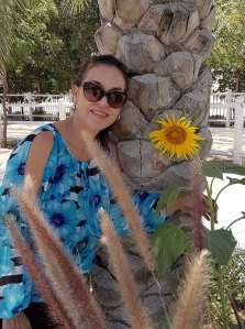 Sunflower grown in Dubai