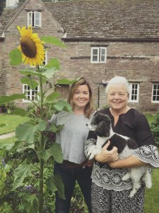 Sunflower grown in UK