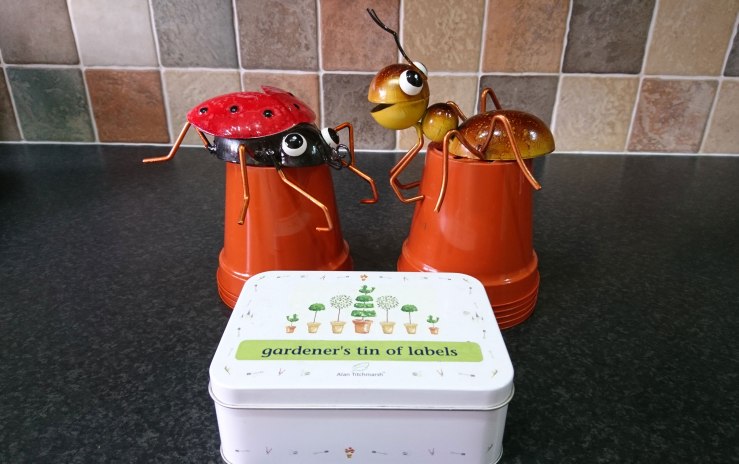 Preparing to plant sunflowers.