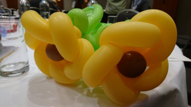 Balloon sunflowers.