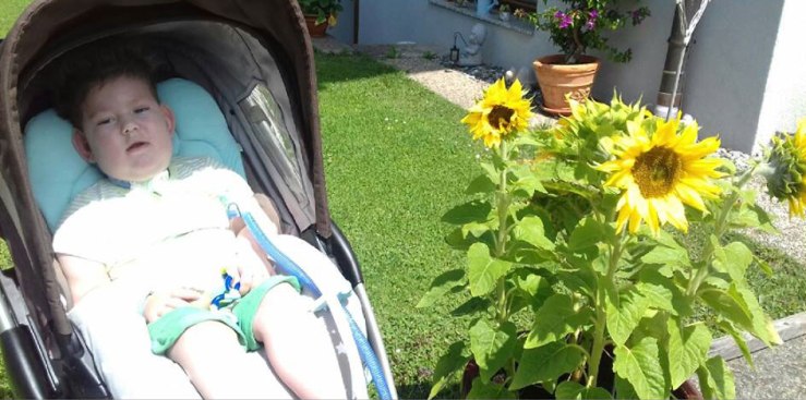 Marius and sunflowers.