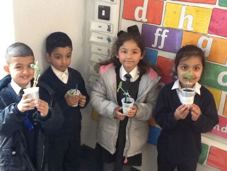 Sunflowers at Tinsley Meadows.