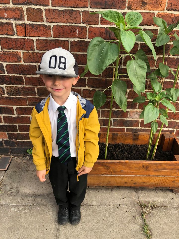 Logan with sunflowers.