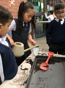 Seed planting at Tinsley Meadows Primary Academy in Sheffield.