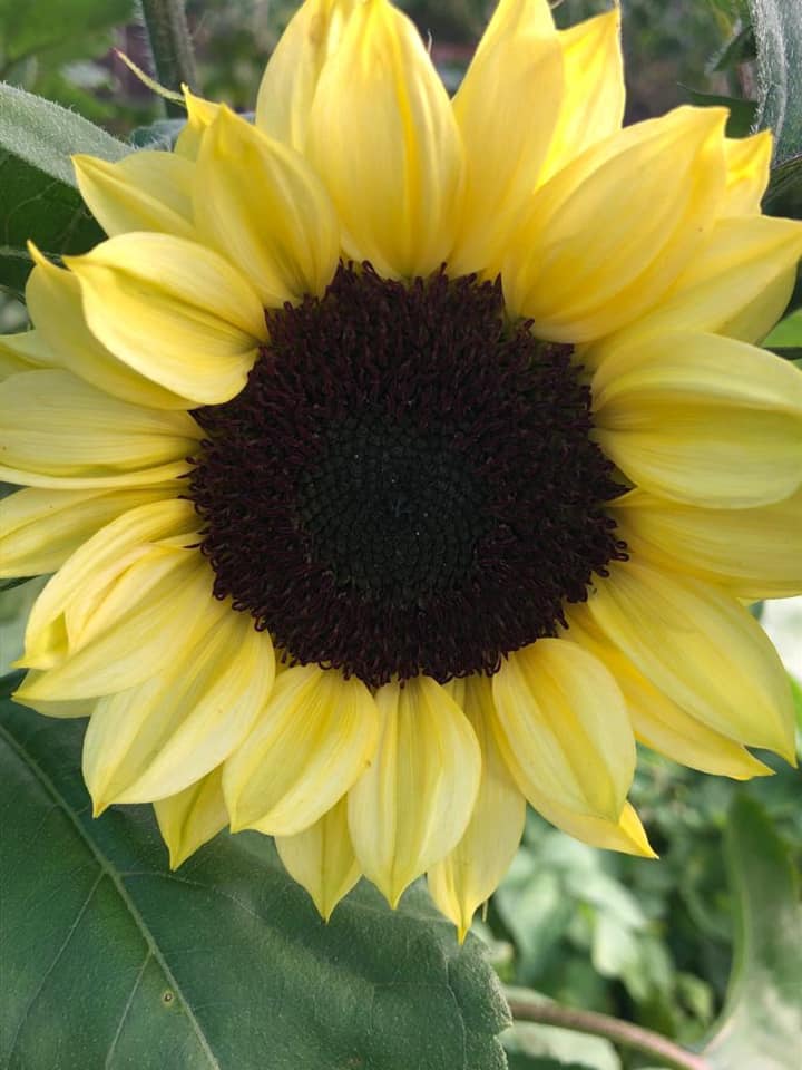 stockport-home-educators-11